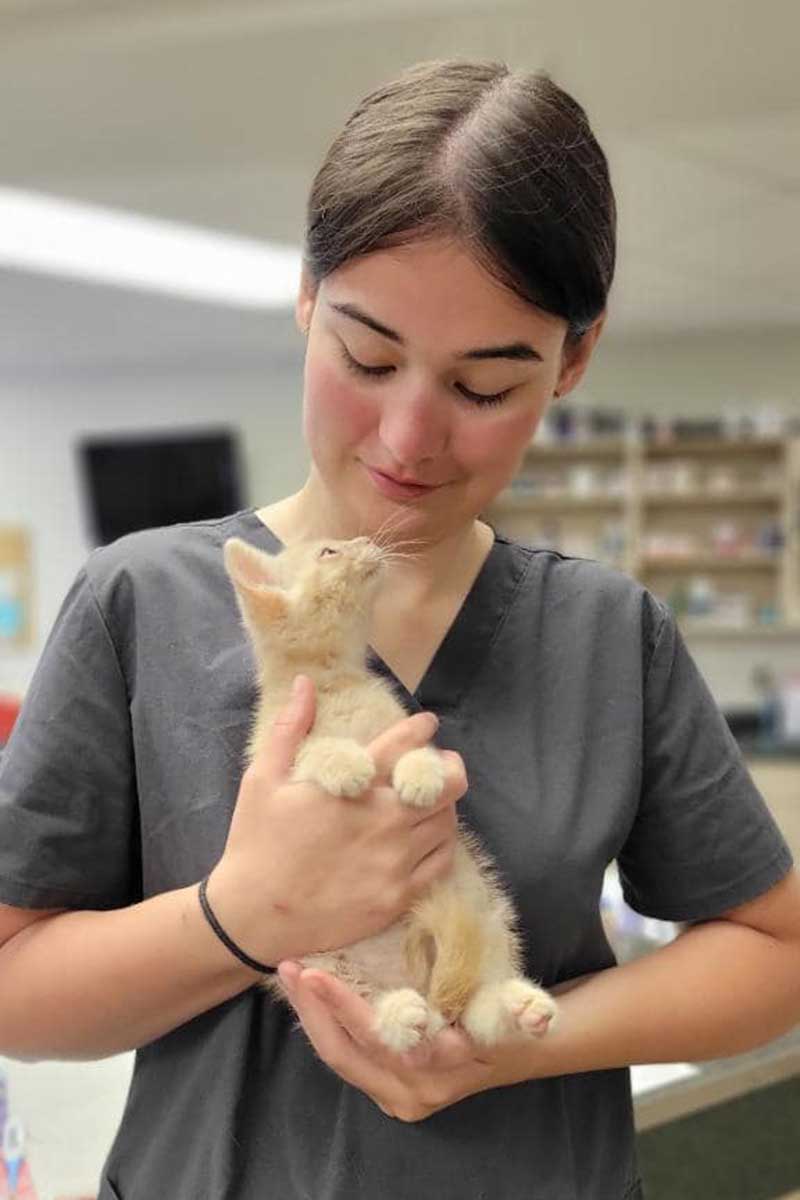 A vet tech holding a feline patient