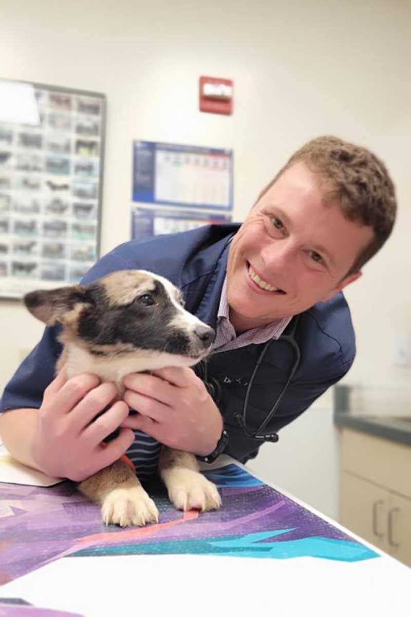 Our vet cuddling a pup