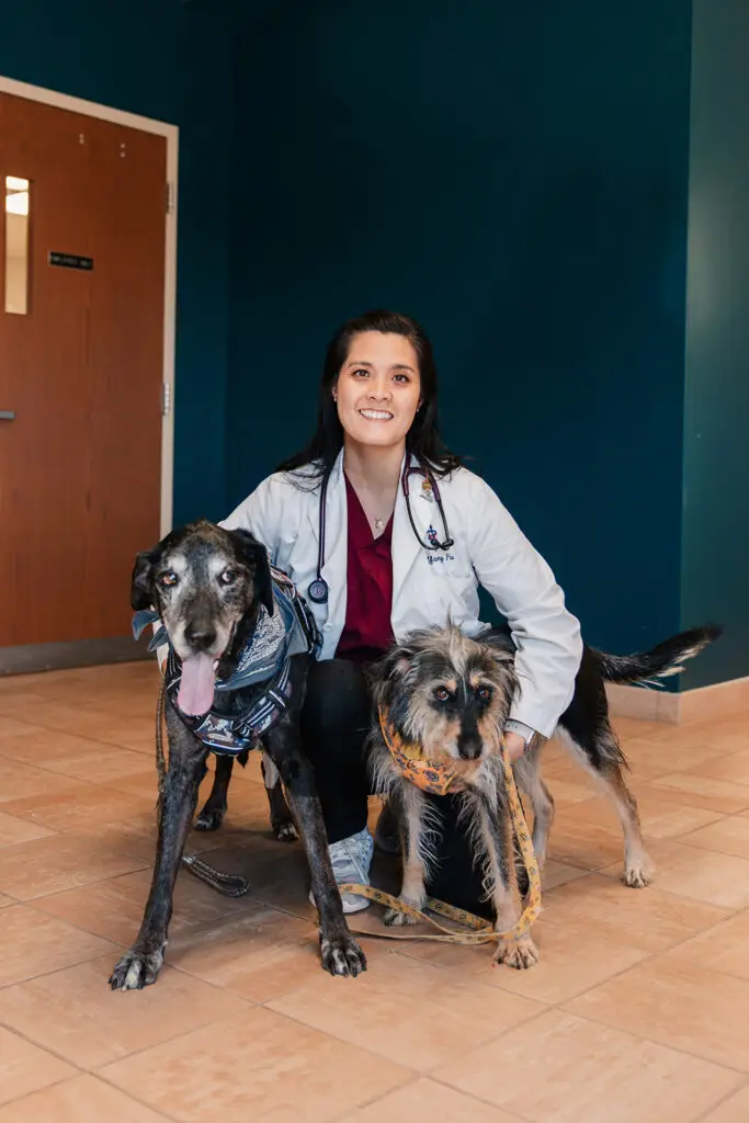 Dr. Tiffany Fu of Buckeystown Veterinary Hospital