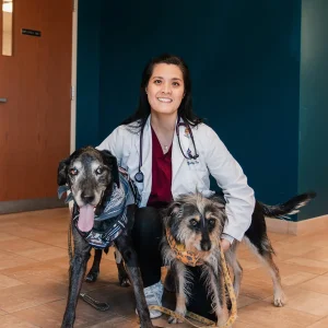Dr. Tiffany Fu of Buckeystown Veterinary Hospital