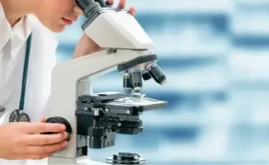 microscope